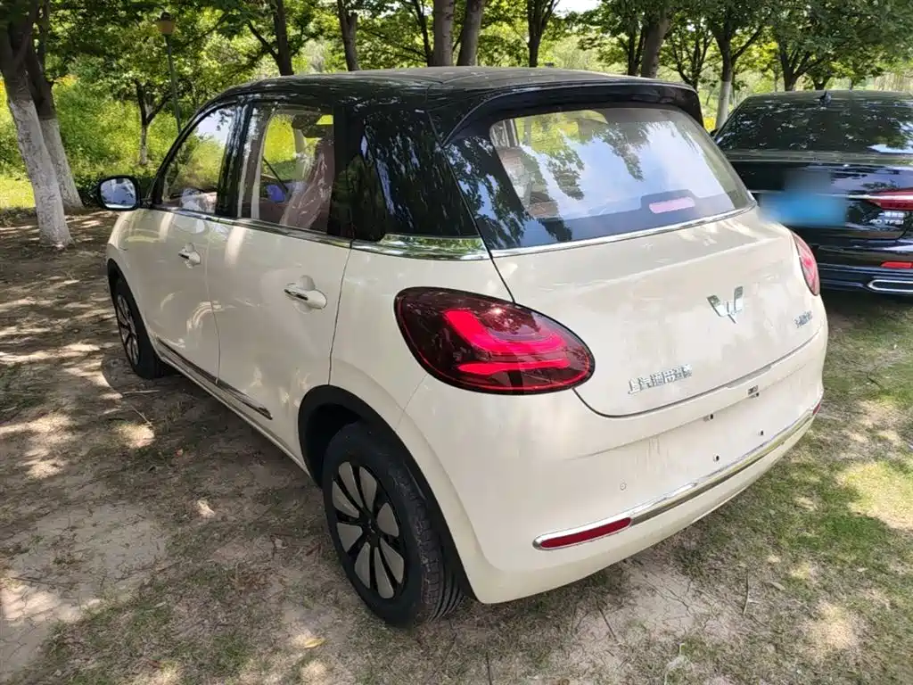 Wuling Binguo 2025 333km Enjoy