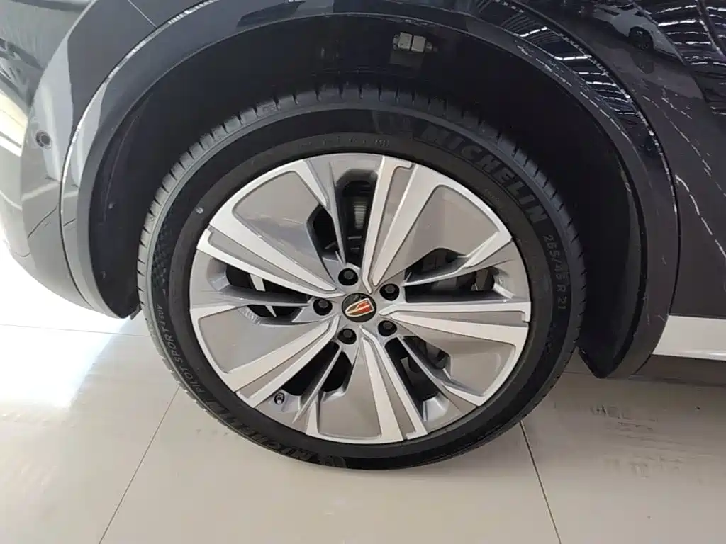Hongqi Hongqi E-HS9 — миниатюра 23