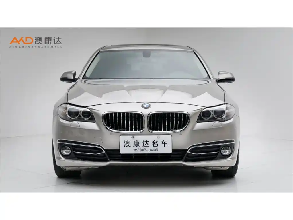 BMW 5 Series — миниатюра 2