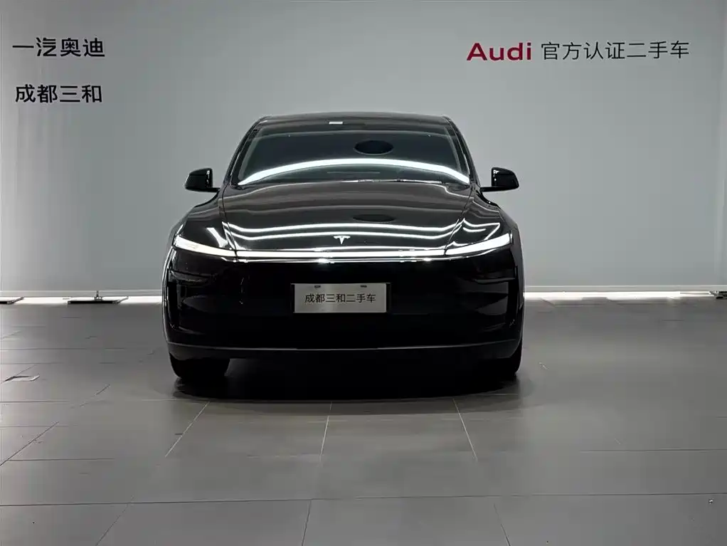 Tesla Model Y — миниатюра 2
