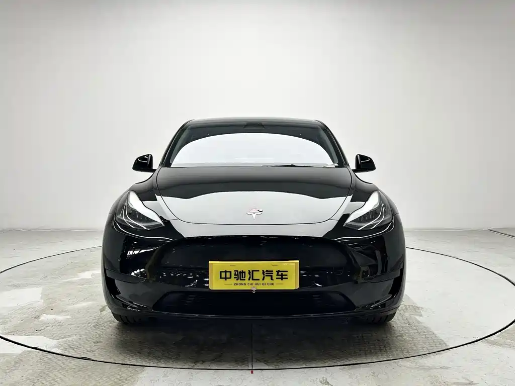 Tesla Model Y — миниатюра 2