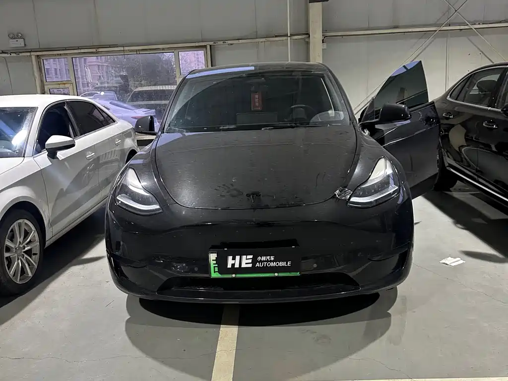Tesla Model Y — миниатюра 4