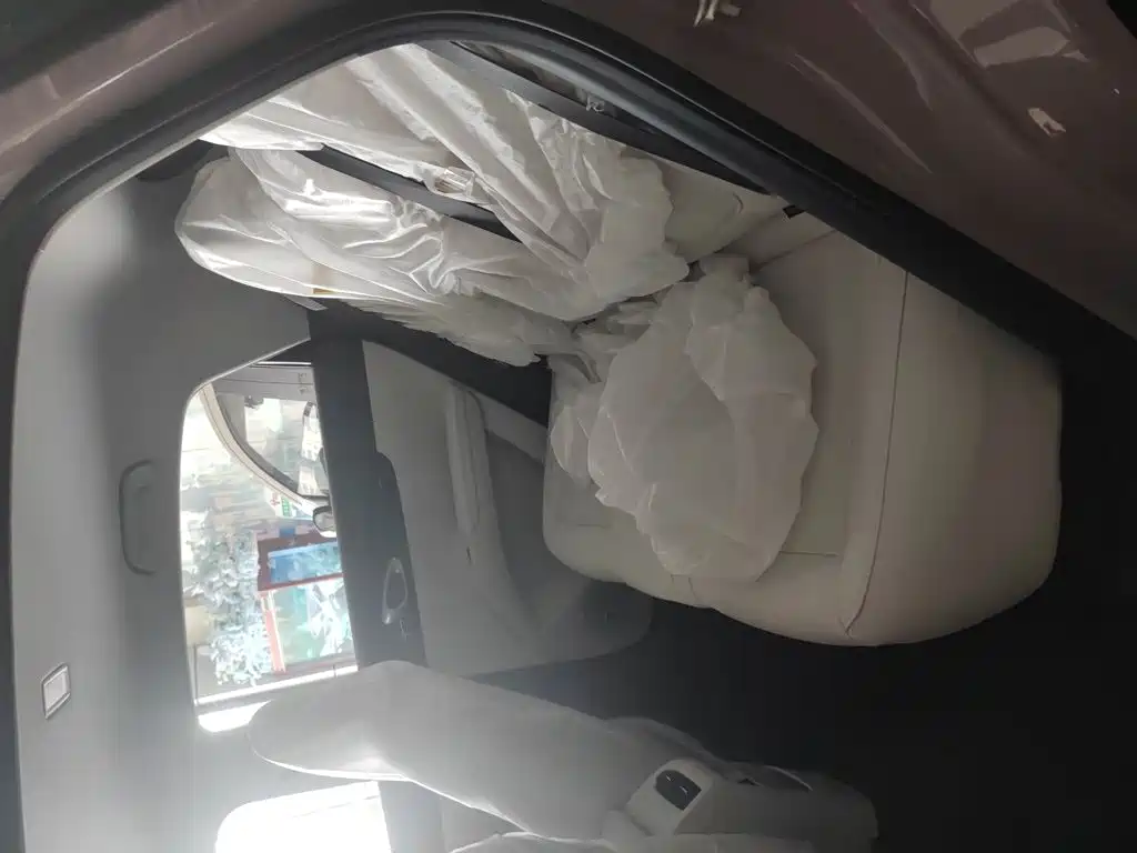 Geely Geome Xingyuan 2026 310km