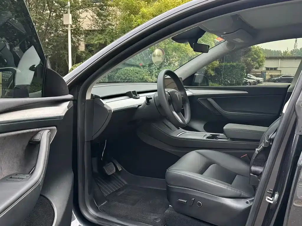 Tesla Model Y — миниатюра 7