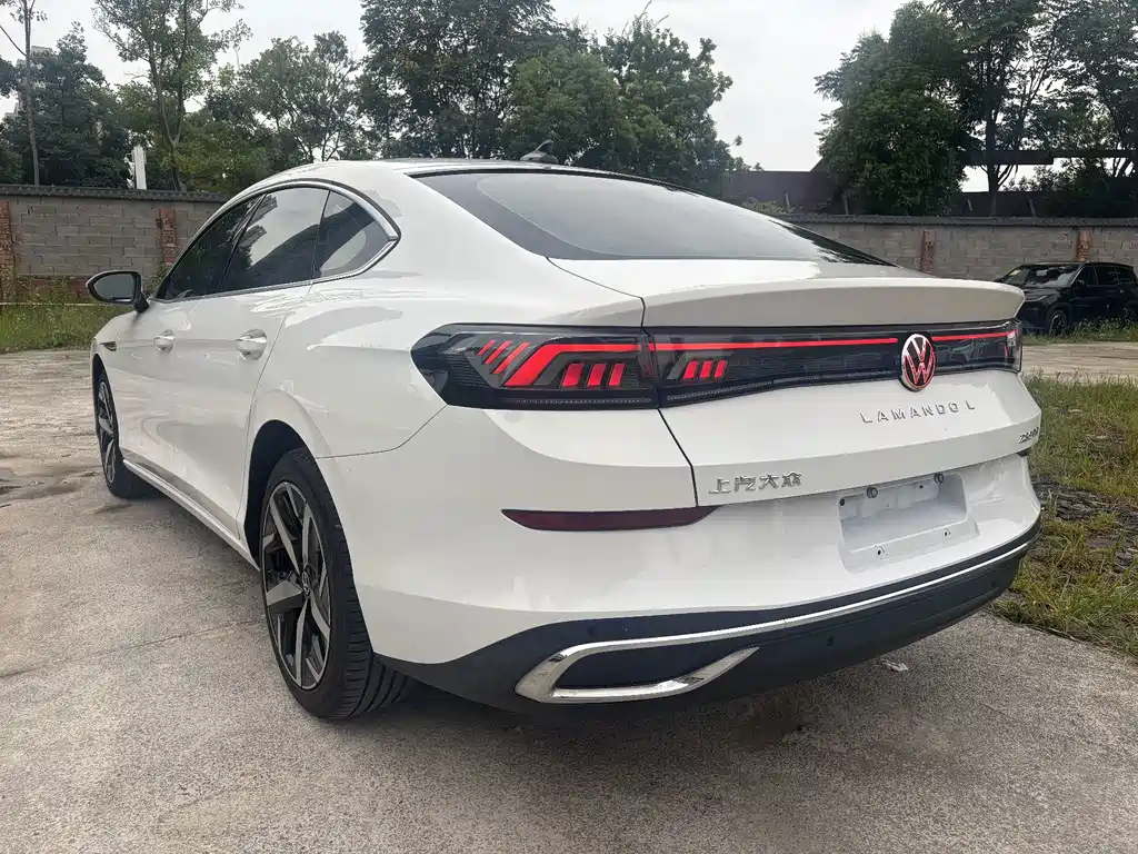 Volkswagen Lamando — миниатюра 5