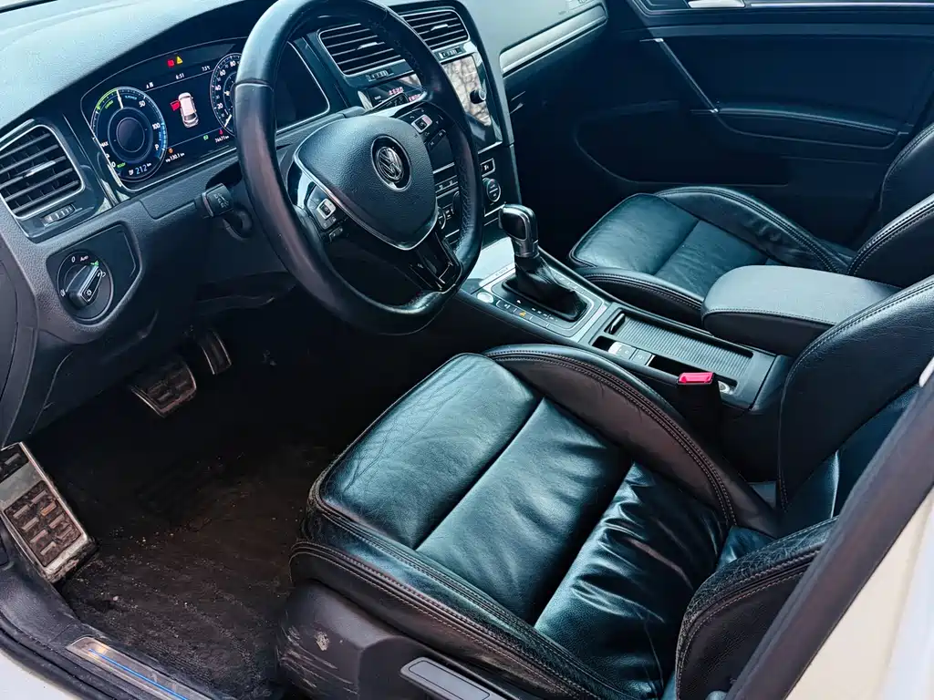 Volkswagen Golf New Energy (Import) — миниатюра 6