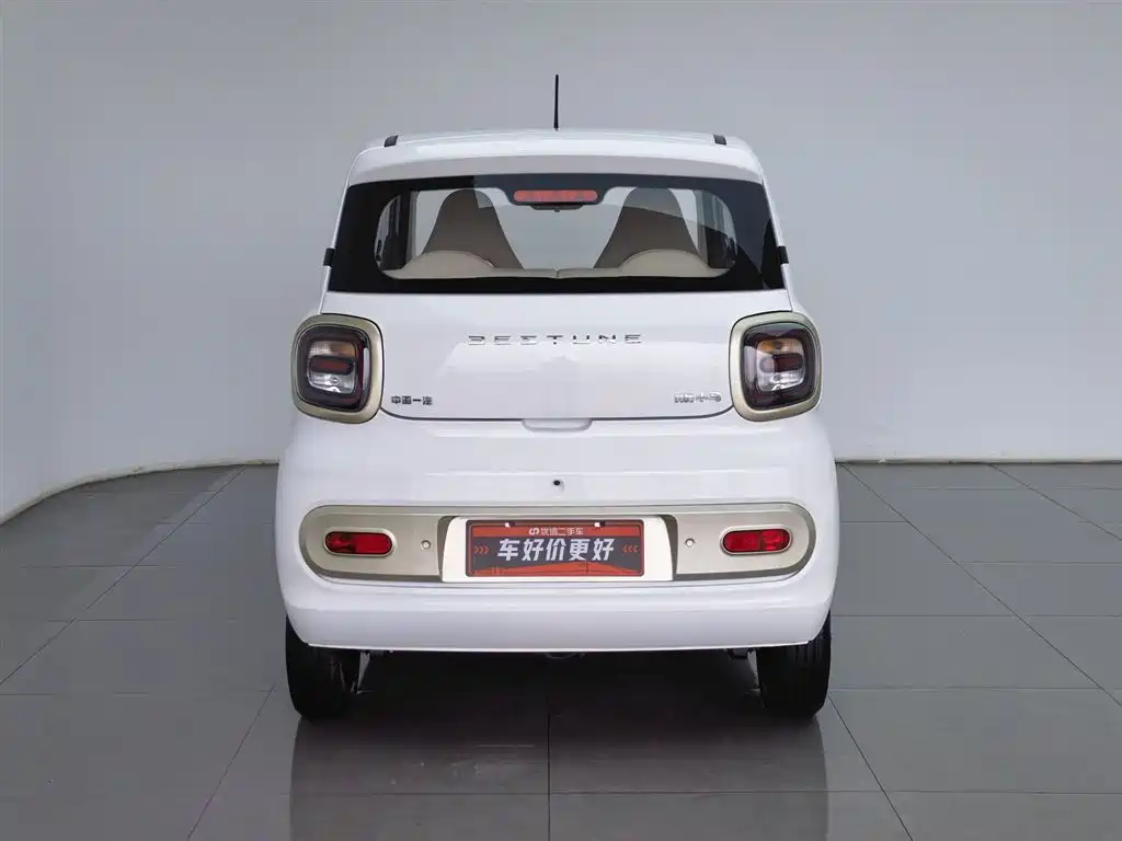 BESTUNE PENTIUM PONY