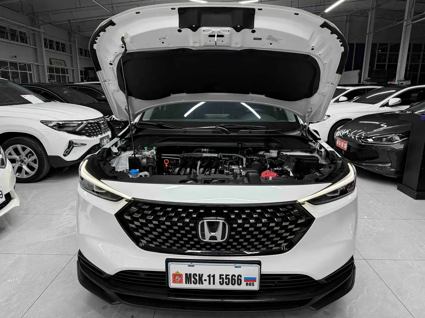 Honda XR-V