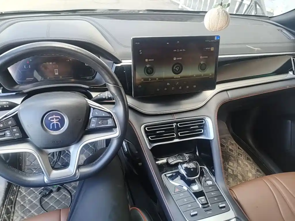 BYD PLUS — миниатюра 10