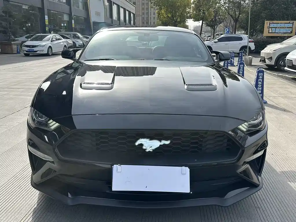 FORD MUSTANG