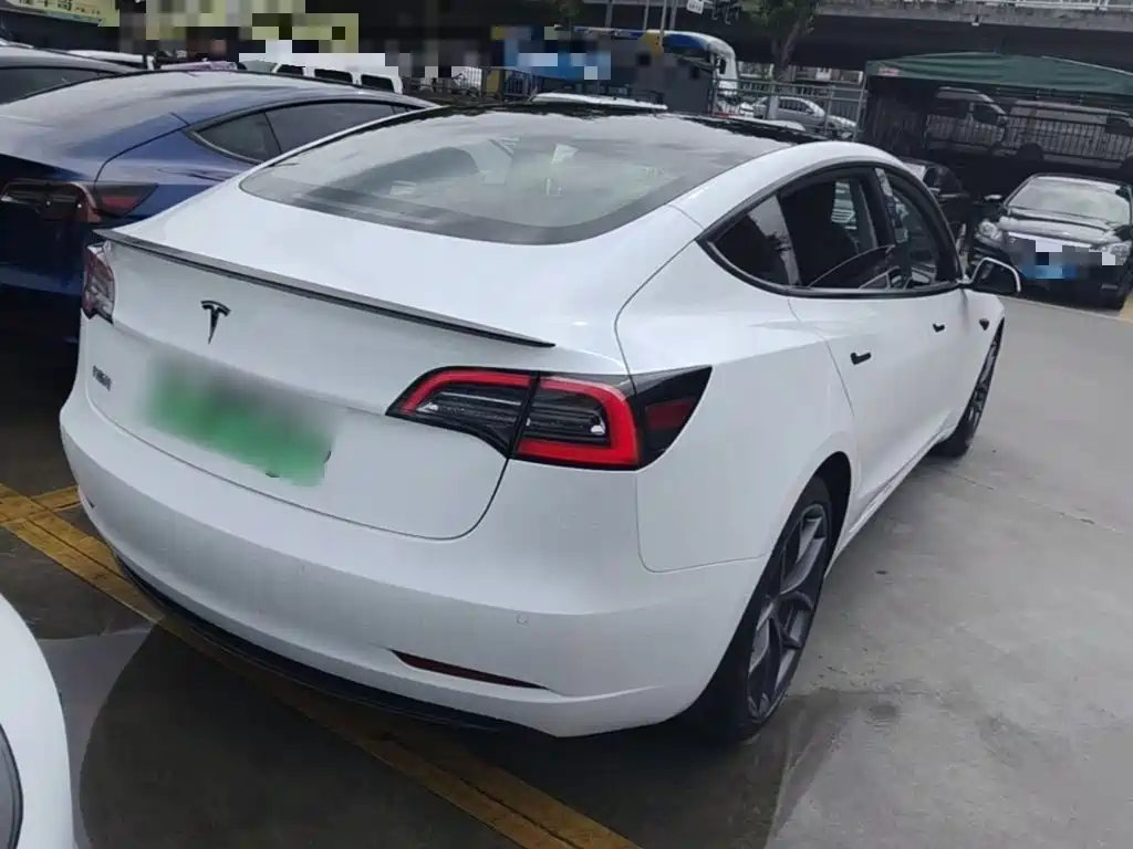 Tesla Model 3 2021 Performance 3D6