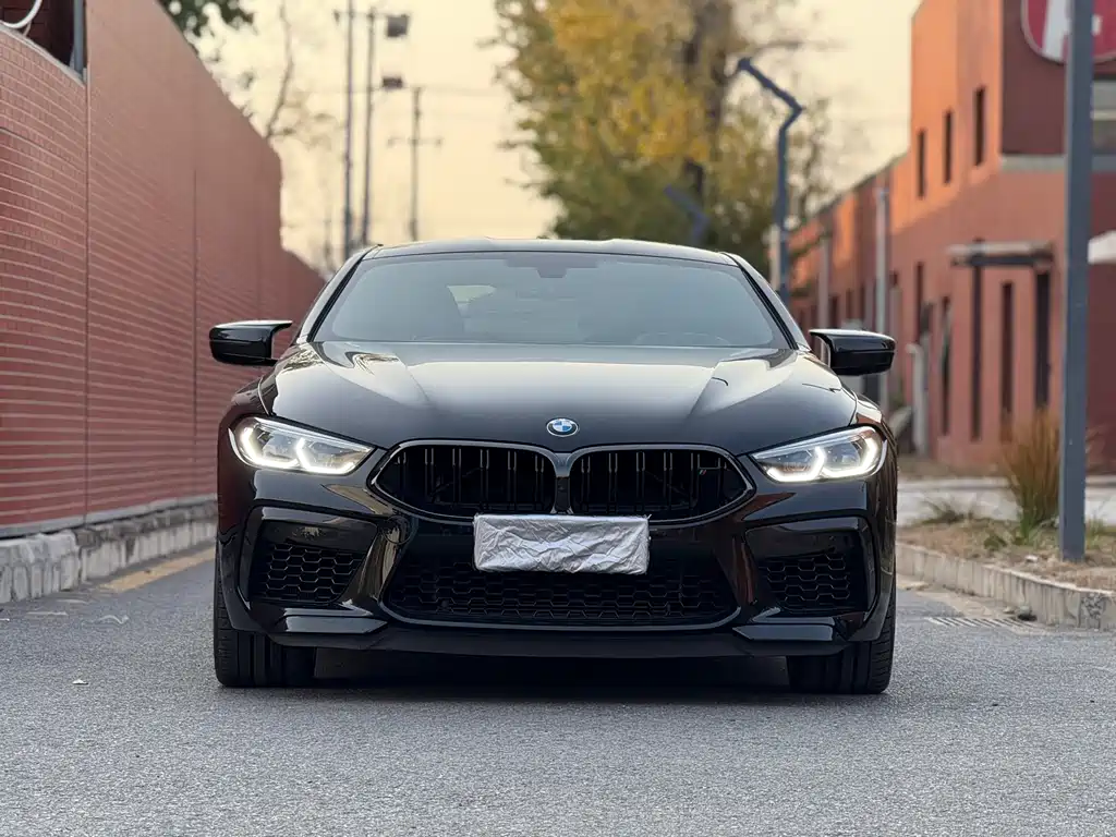 BMW M8