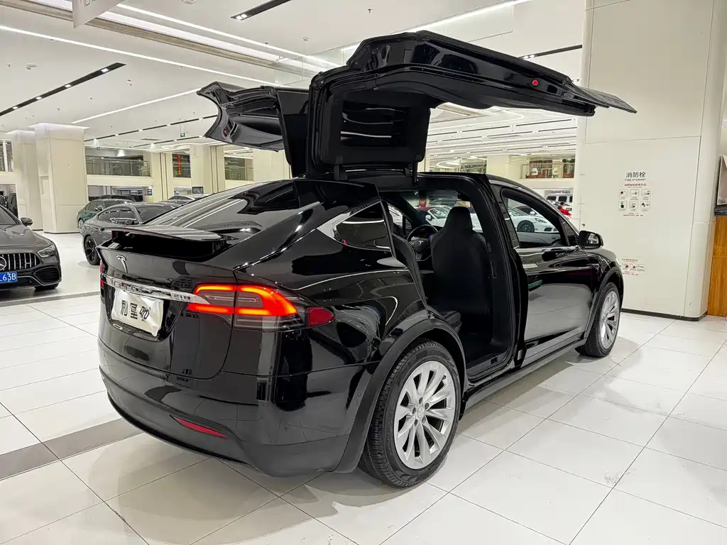 Tesla Model X — миниатюра 4