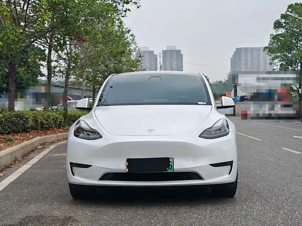 Tesla Model Y — миниатюра 2