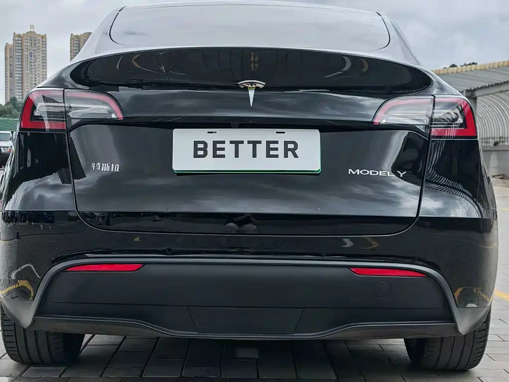 Tesla Model Y — миниатюра 16