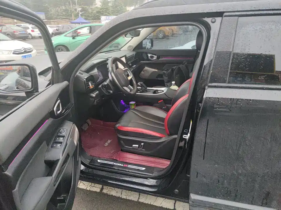 Haval Cool Dog — миниатюра 5