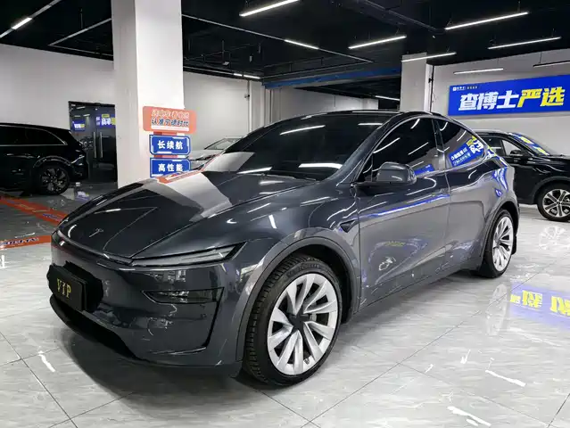 TESLA MODEL Y 2025