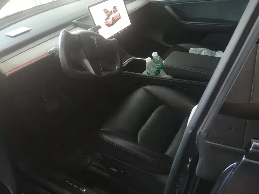 Tesla Model Y — миниатюра 9