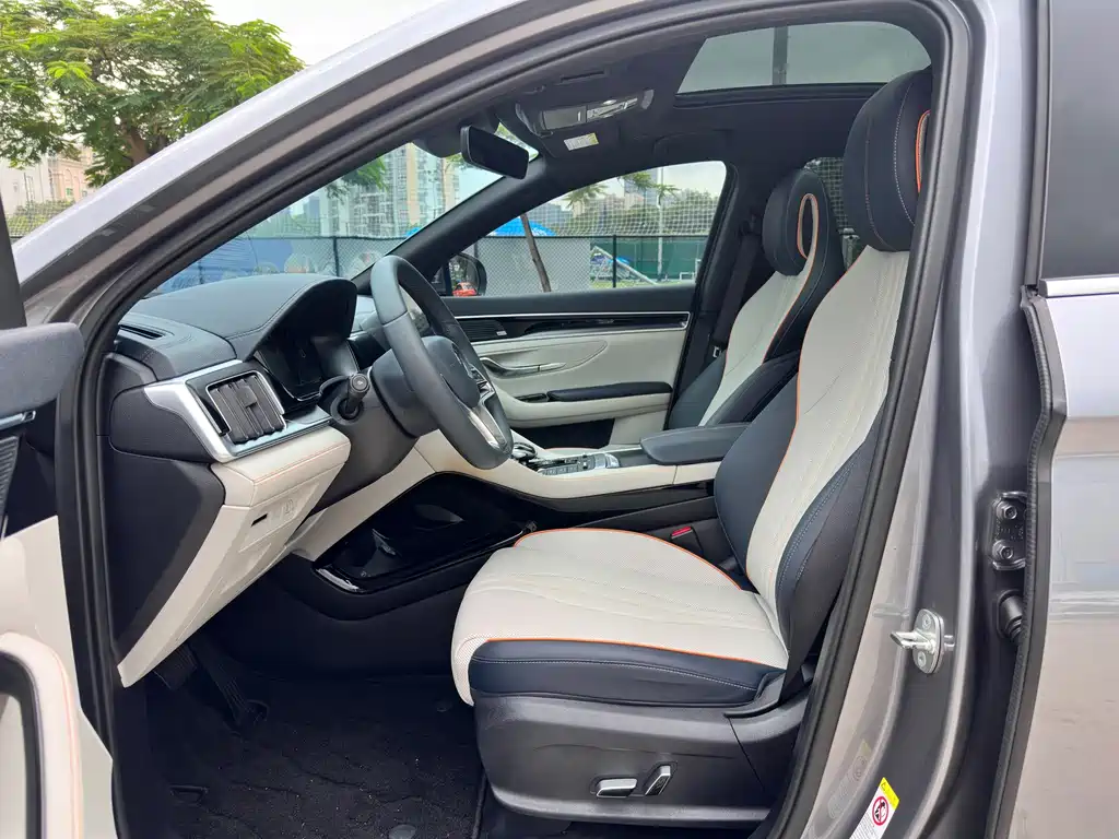 BYD PLUS New Energy — миниатюра 6