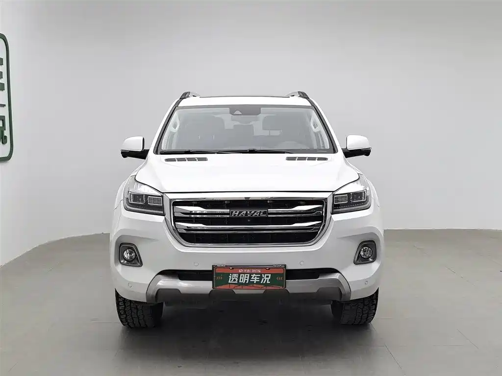 HAVAL H9