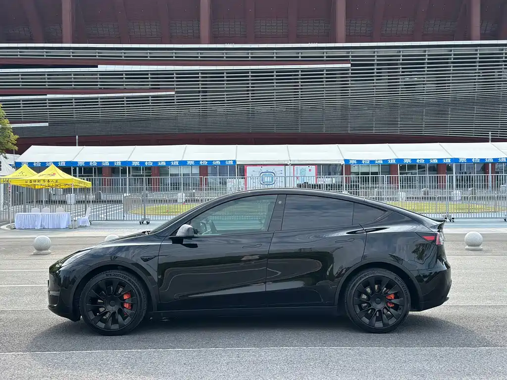 Tesla Model Y — миниатюра 7