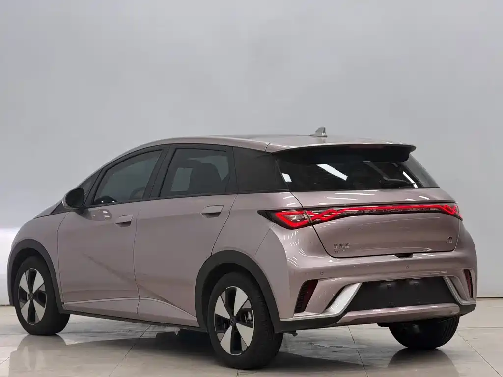 BYD Dolphin — миниатюра 9