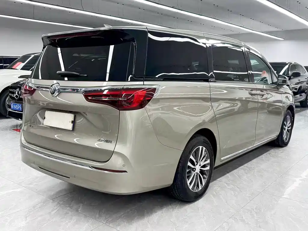 Buick GL8 — миниатюра 6