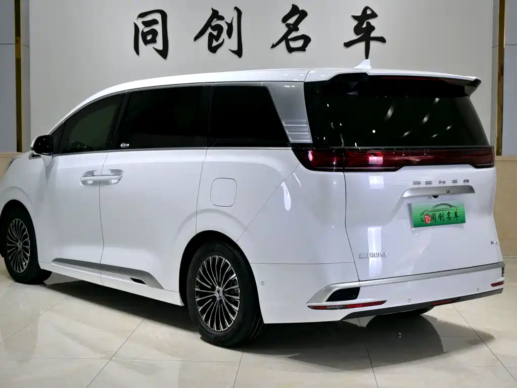 Denza Denza D9 — миниатюра 4