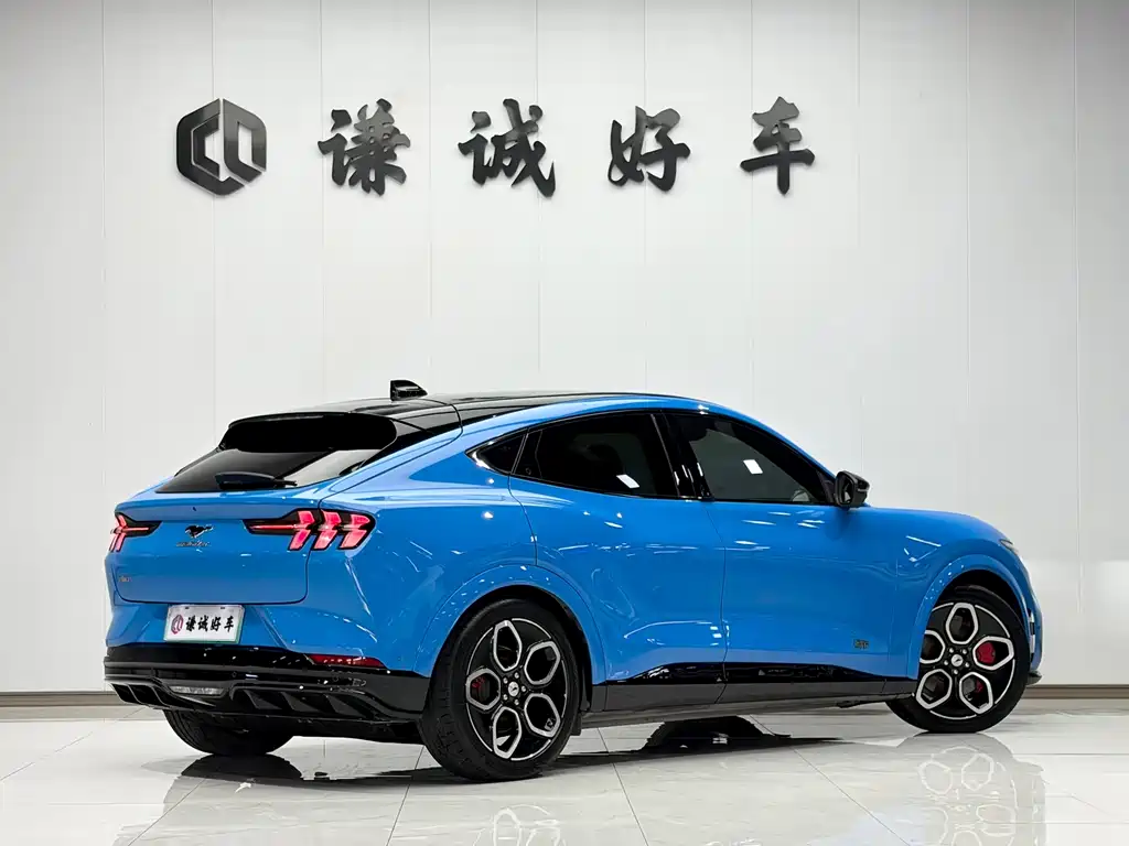 Ford Mustang Mach-E — миниатюра 5