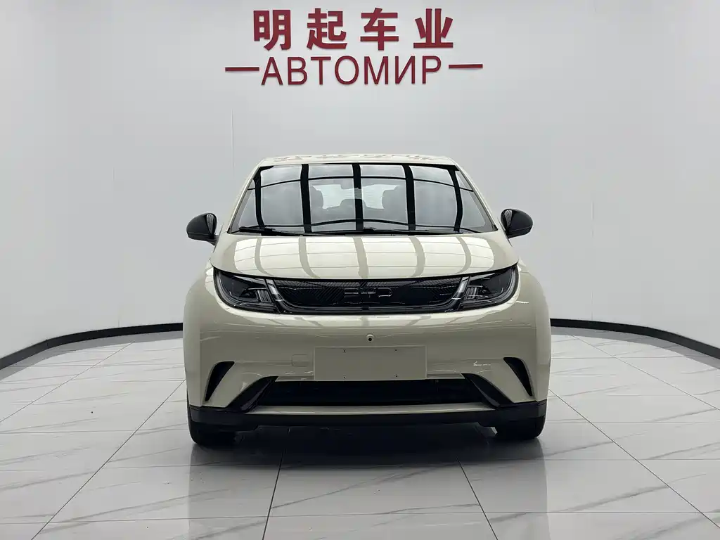 BYD Dolphin — миниатюра 2