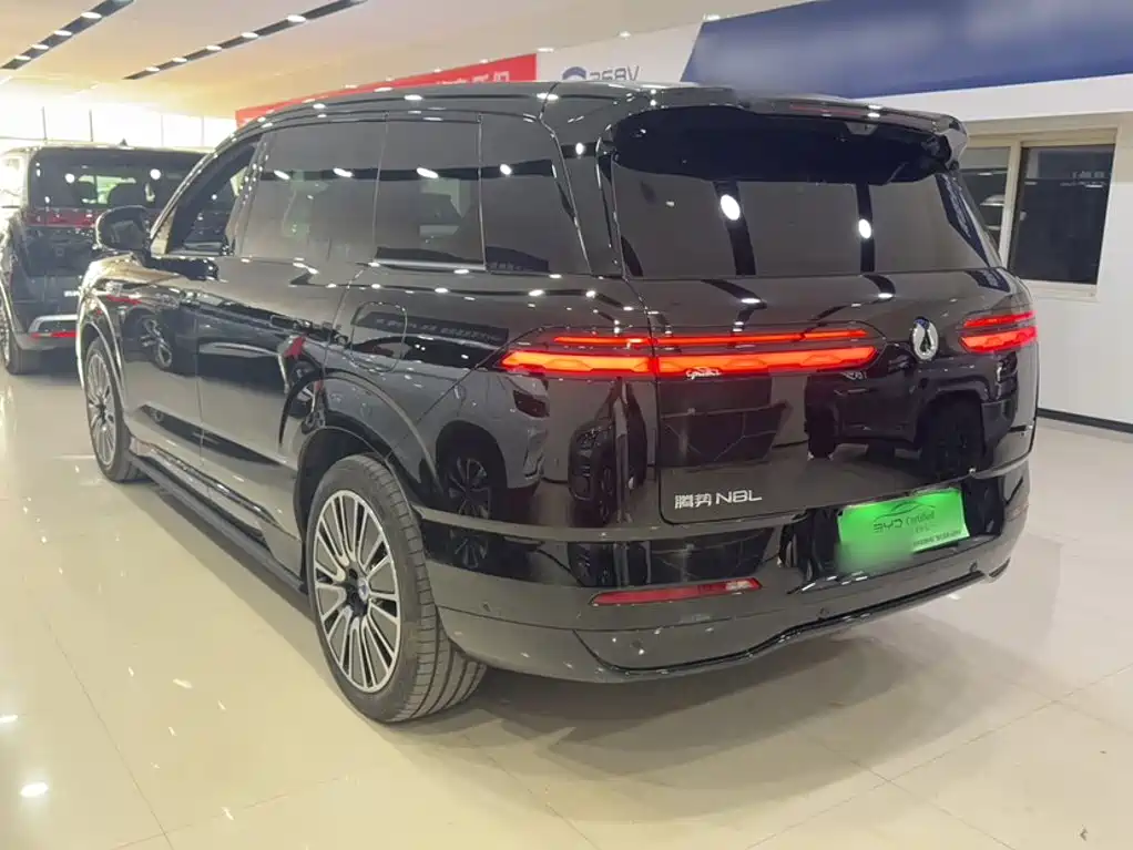 Denza Denza N8L — миниатюра 9