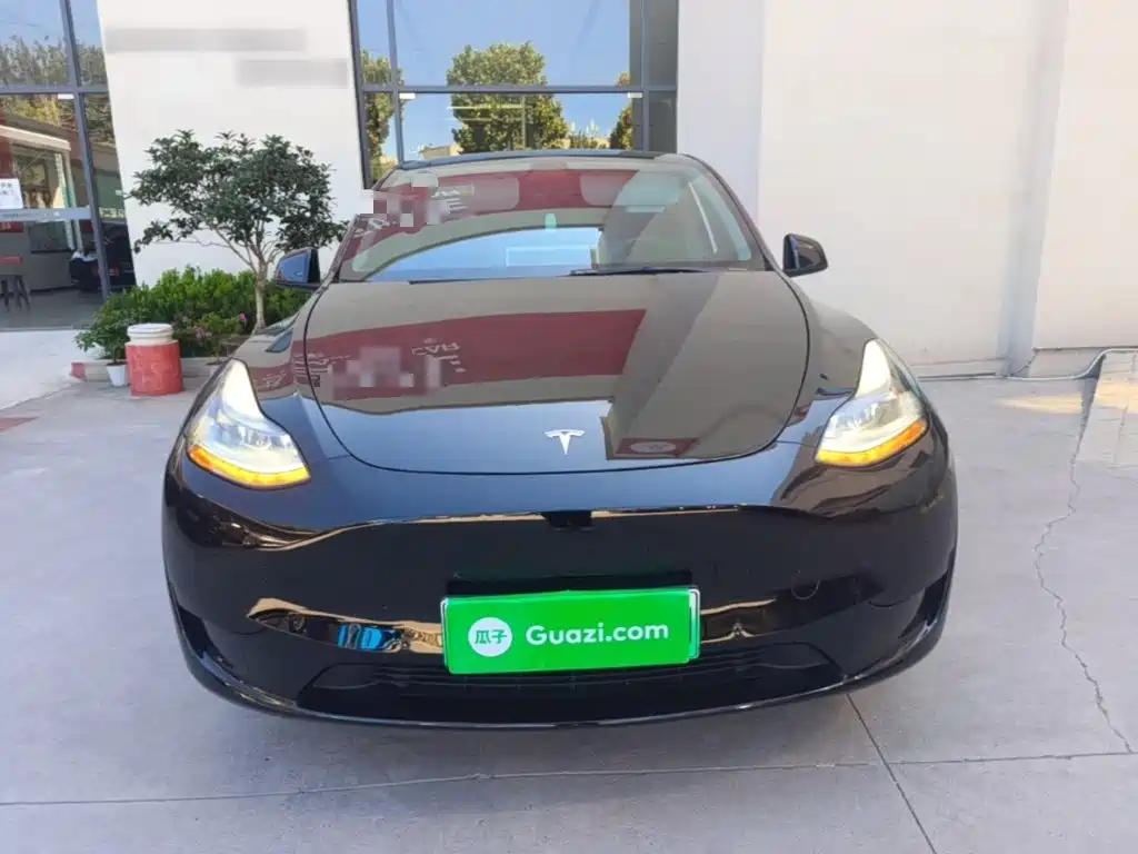 Tesla Model Y — миниатюра 3