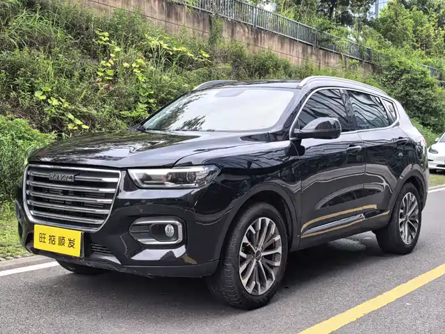 HAVAL  H6