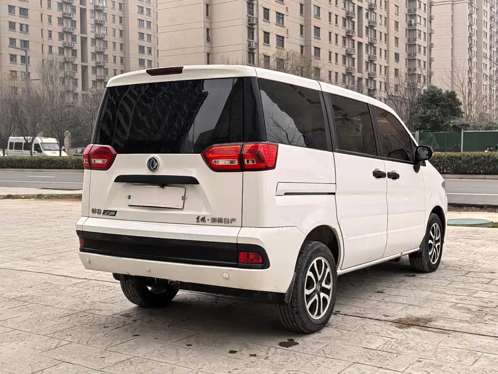 DONGFENG SHUAIKE NEW ENERGY
