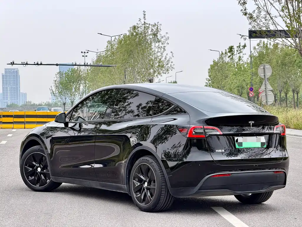 Tesla Model Y — миниатюра 5