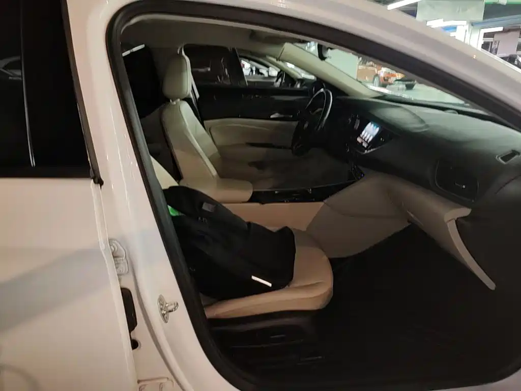 Buick Regal — миниатюра 25