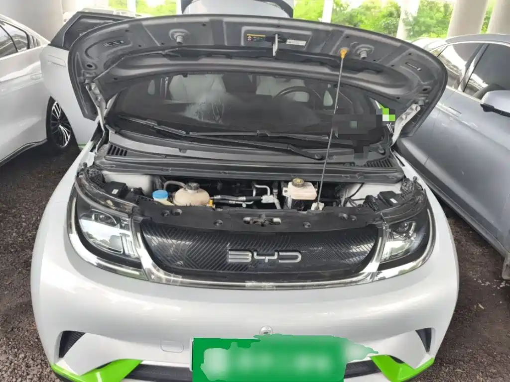 BYD Dolphin — миниатюра 11