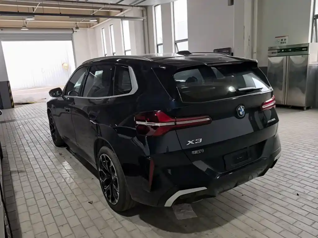 BMW X3 — миниатюра 5