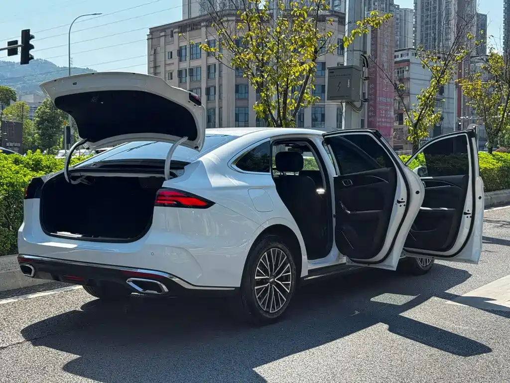 Geely Emgrand — миниатюра 25