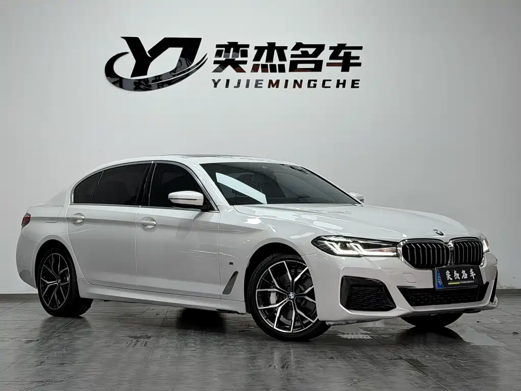 BMW 5 Series — миниатюра 3