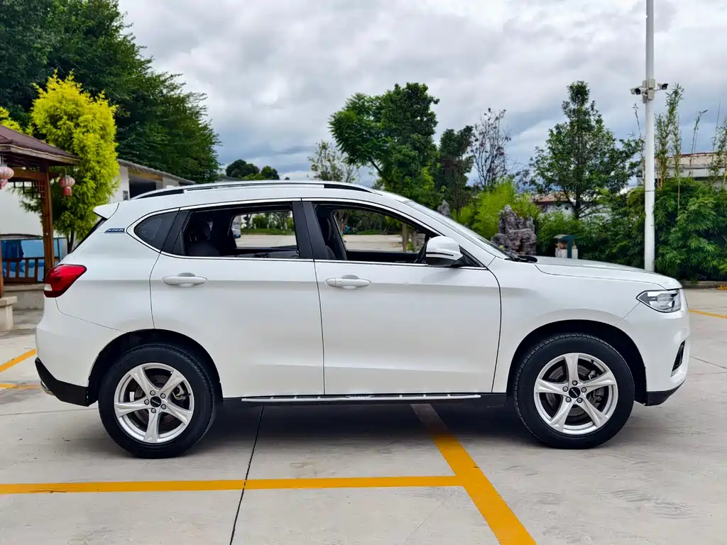 HAVAL  H2