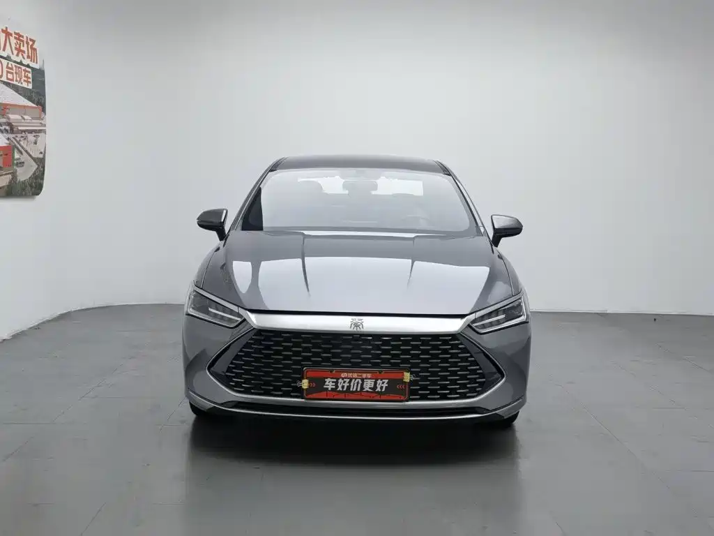 BYD Qin Plus PLUS 2024 DM-i 55KM Lead