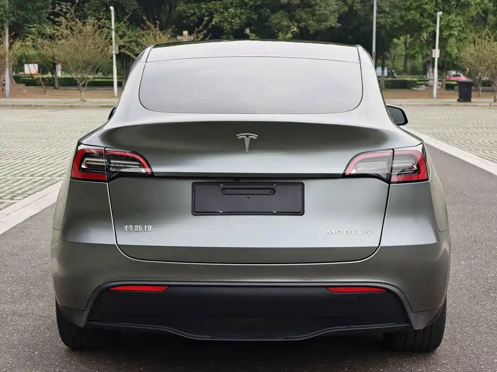 Tesla Model Y — миниатюра 4