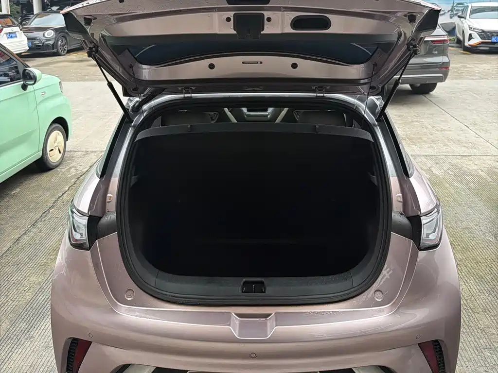 BYD Dolphin - фото 14