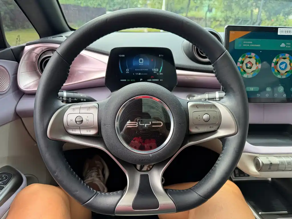 BYD Dolphin — миниатюра 11
