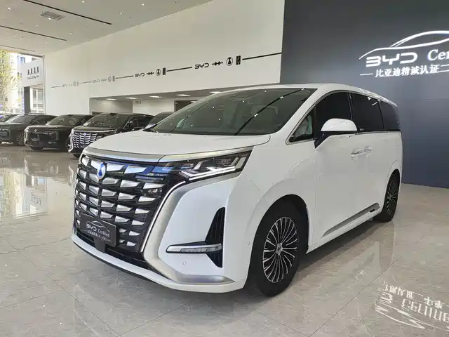 2023 Denza D9