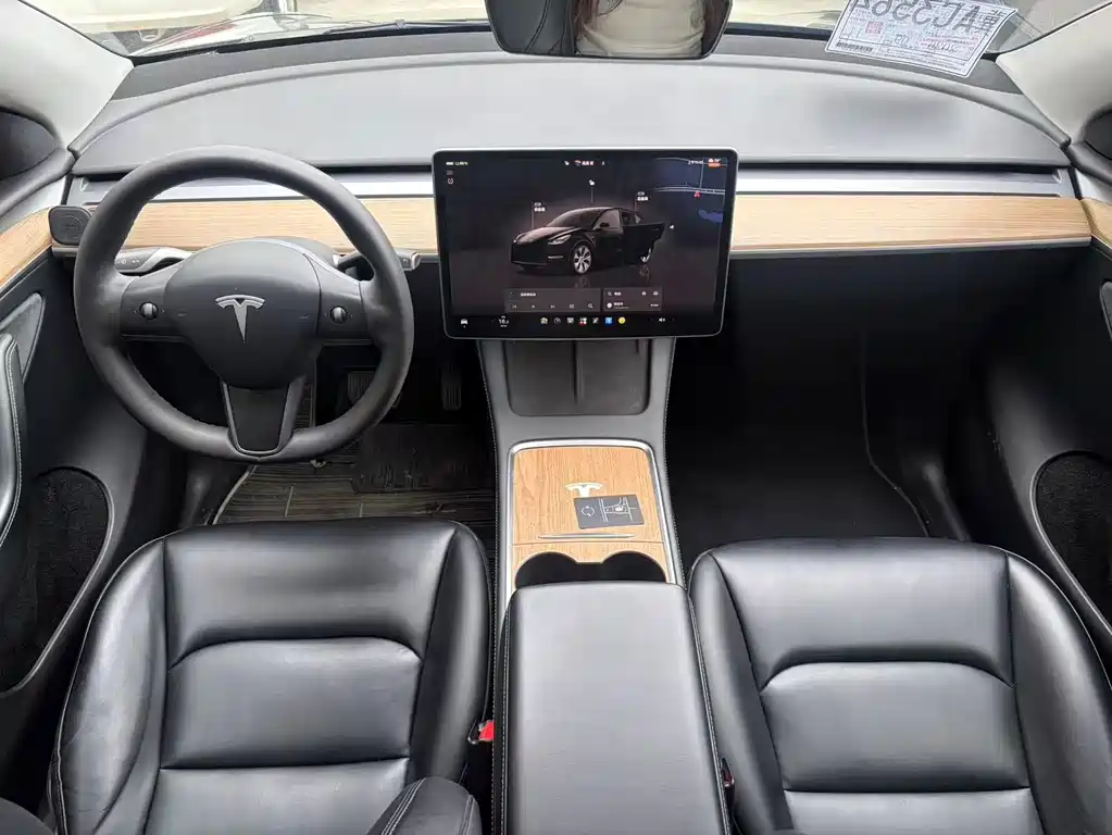 Tesla Model Y — миниатюра 5