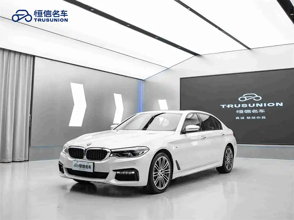 BMW 5 Series 5 2018 530Li Premium M Sport