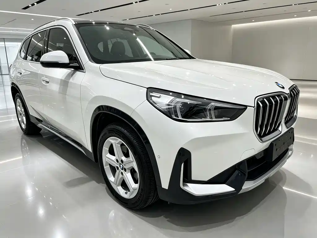 BMW X1 — миниатюра 3