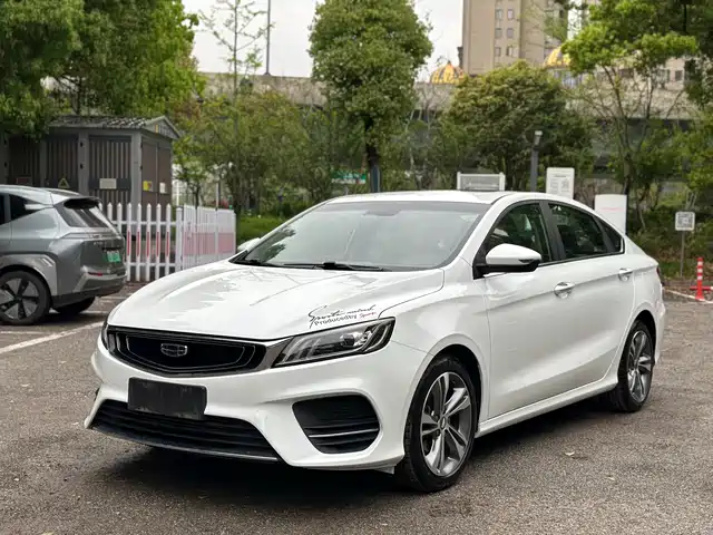 2019 Geely Binrui